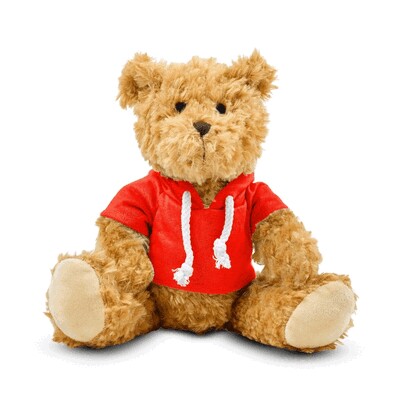 Teddy bear with hoodie