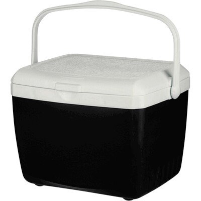 Kühltasche